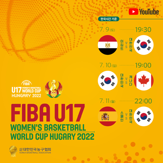 레이어팝업 2017 FIBA