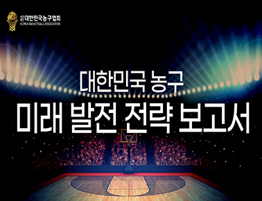 대한민국 농구 미래 발전 전략 보고서